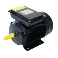 Motor Elétrico Monofásico 2CV 4 Polos 60Hz – Lynus-5396.0