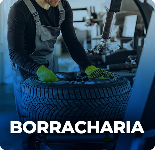 Borracharia