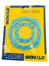 Junta do Carter 40 APSA - Schulz