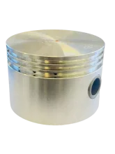 Pistão 4" 15 AP 20/25/30/35/40 S - Schulz