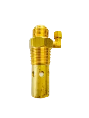 Válvula de Retenção 1" 30 BR 40 BR 30 MAX 40 MAX com Flange - Schulz