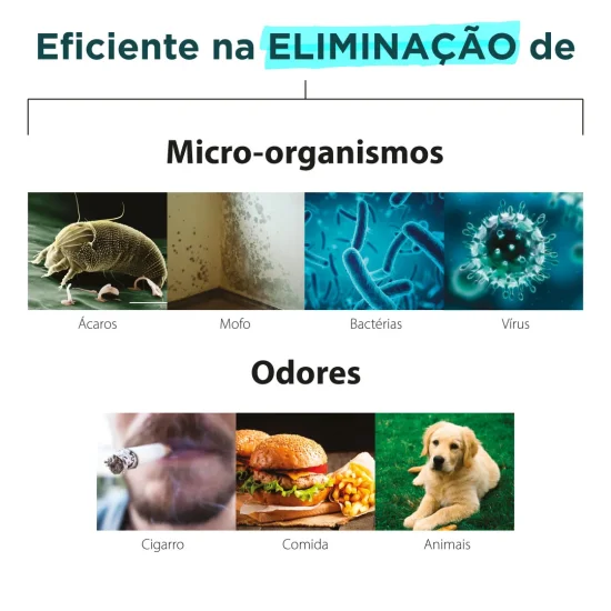 Máquina de Higienização por Ozônio (GREEN)