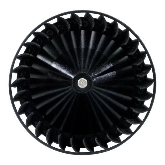 Motor Ventilador Ar Condicionado Constellation 05 a 20 24V