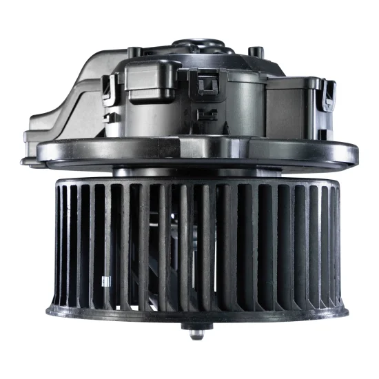 Motor Ventilador Parati G3, G4 1999 a 2008 12V Original