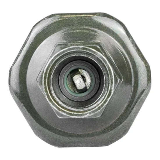 Pressostato Universal 2 Vias Rosca Interna Case Maxxum (M.I)