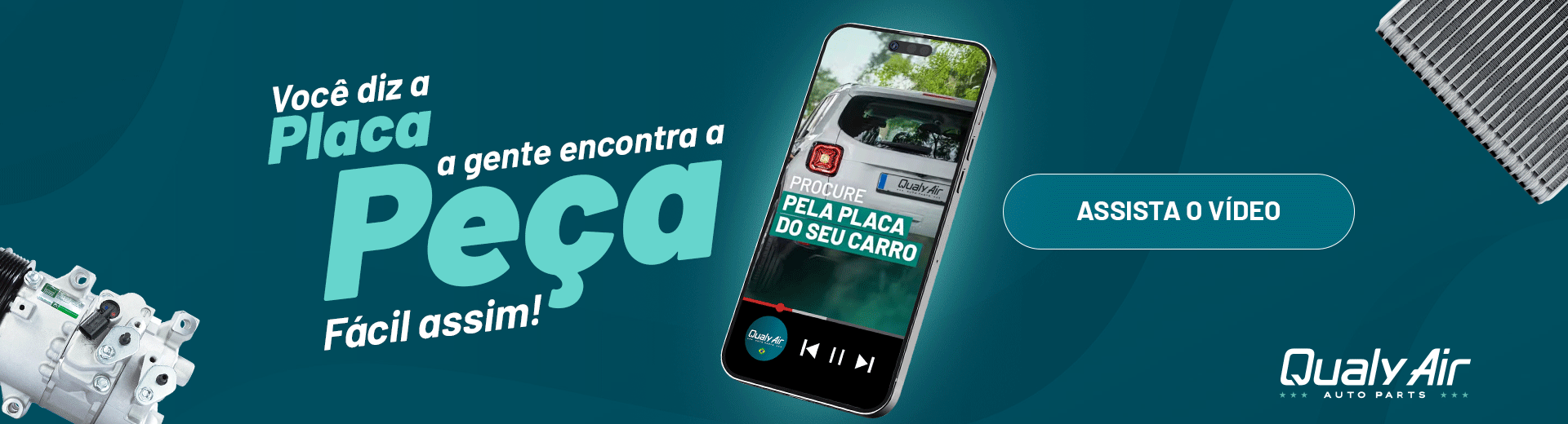 Você diz a placa