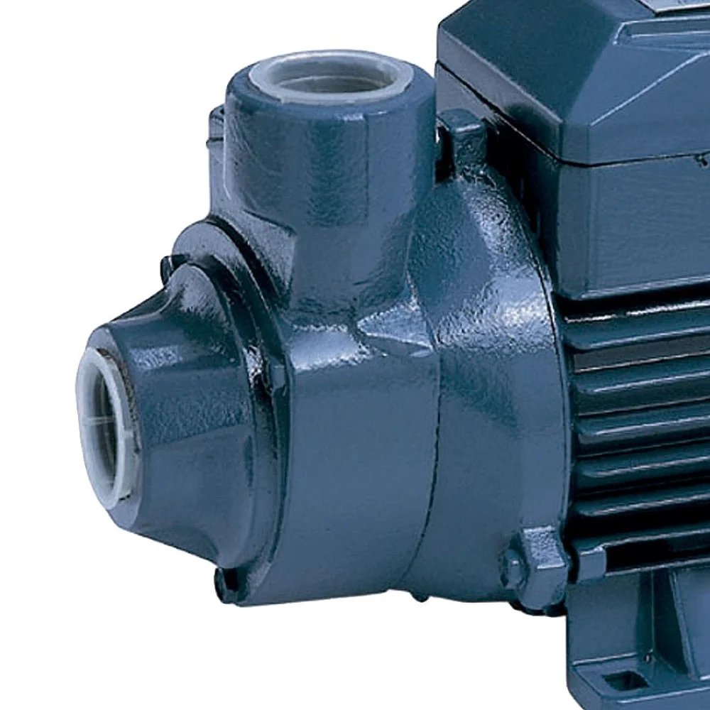 Bomba de Água para Poço ou Tanque Bivolt 2761BR Gamma