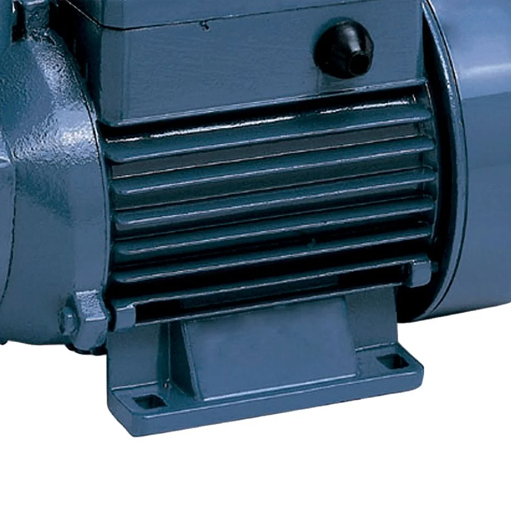 Bomba de Água para Poço ou Tanque Bivolt 2761BR Gamma