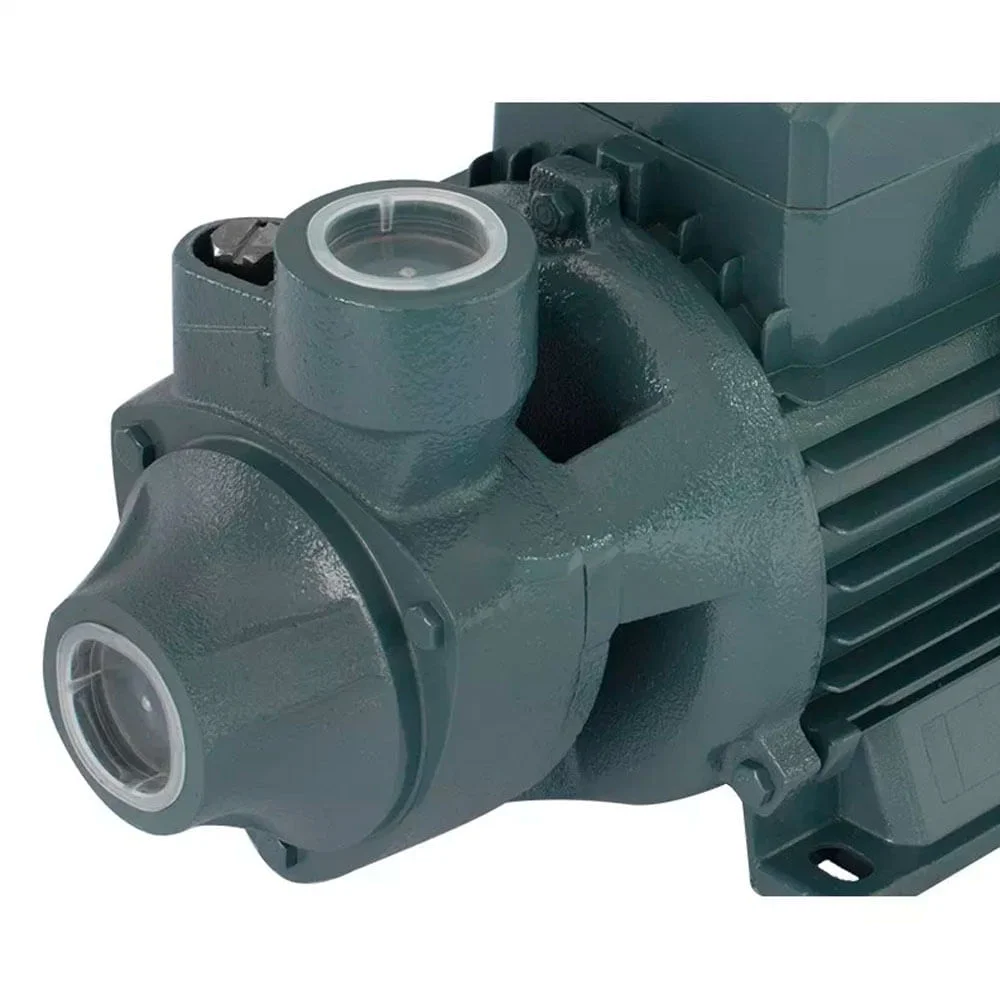 Bomba de Água Periférica QB80 G2762BR Gamma