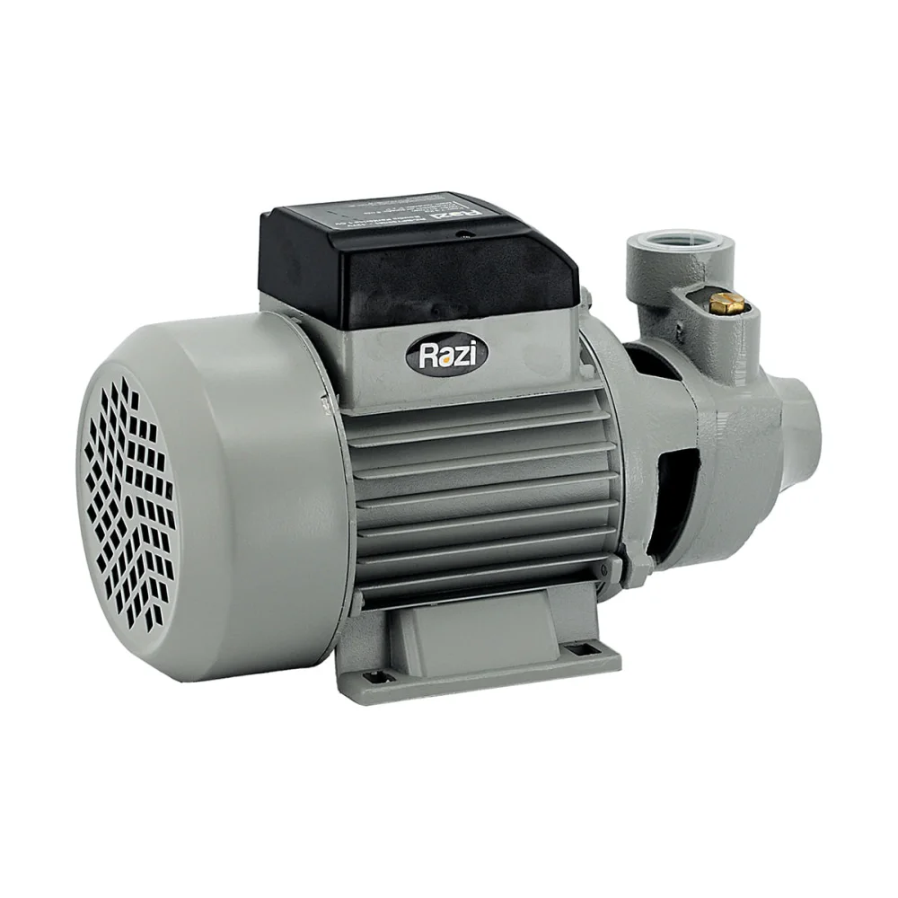 Bomba Periférica 1 CV 21157 Razi 220 Volts