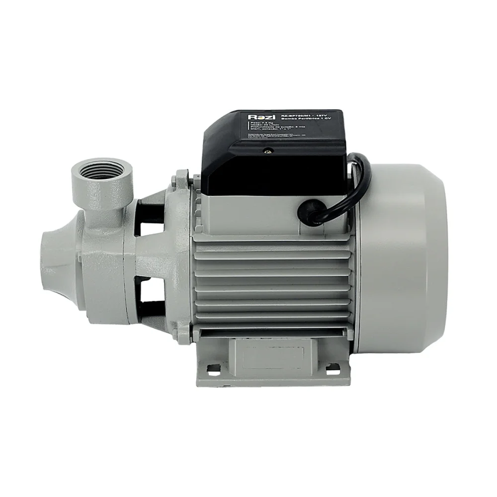 Bomba Periférica 1 CV 21157 Razi 220 Volts