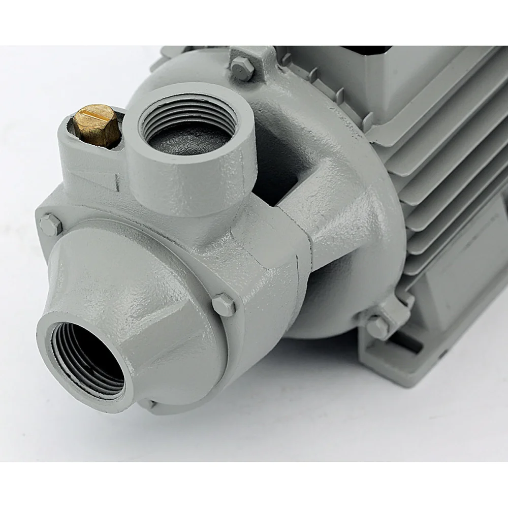 Bomba Periférica 1 CV 21157 Razi 220 Volts