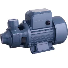 Bomba de Água para Poço ou Tanque Bivolt 2761BR Gamma