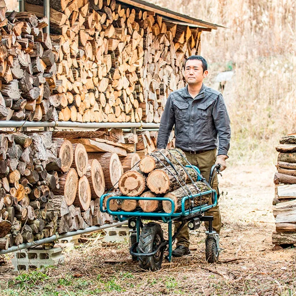 Carrinho de Transporte à Bateria 18V DCU180Z Makita