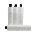 Kit Elementos Filtrante Foguetinho Rosca 1 Pol - Grein