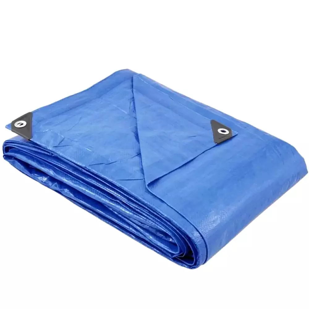 Lona de Polietileno Azul Com Ilhos Metalico 5X6M Rexon 100 MICRAS