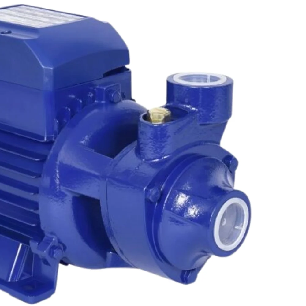 Motobomba Periferica 1/2HP 1800L/H 110V 370W Chiaperini CH 05-BP2