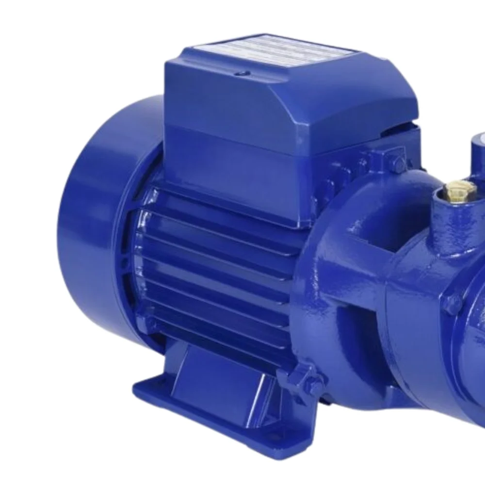 Motobomba Periferica 1/2HP 1800L/H 110V 370W Chiaperini CH 05-BP2