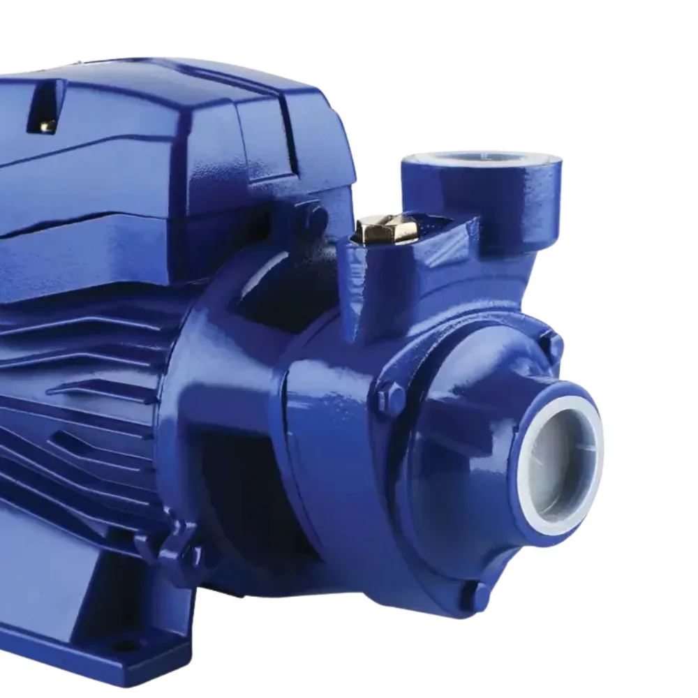 Motobomba Periferica 1HP 2400L/H 110V 750W Chiaperini CH 10-BP2
