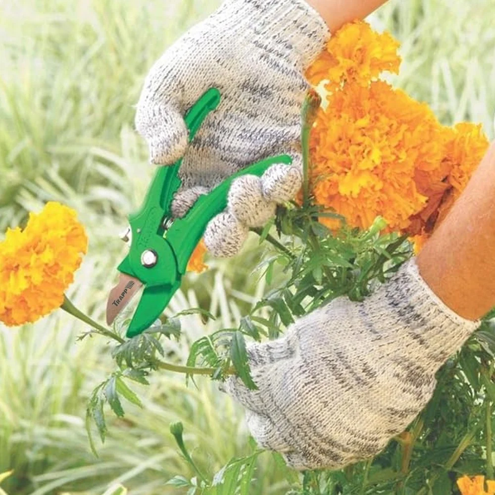 Tesoura de Podar Hobby 6" Trapp TS-3113