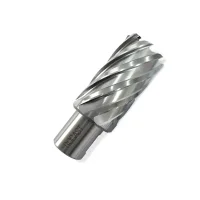 Broca Anular Encaixe Weldon 19MM HSS 42X50MM Rocast 880070