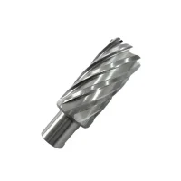Broca Anular Encaixe Weldon 19MM HSS 45X50MM Rocast 880073