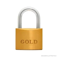 Cadeado de Latao 30MM Gold GCC2N0003