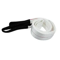 Cinta de Poliester Sling Branca Fator Seguranca 5:1 2TX4M Fita Cabo 50DB