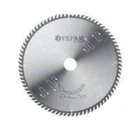 Disco de Serra Circular Widia Trapezoidal 300X30X96D Fepam RT