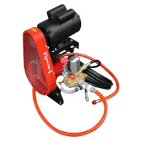 Lavadora de Alta Pressao 3HP com Mangueira Preta 3/8" 26L/MIN 400psi Bivolt Chiaperini LJ 3100
