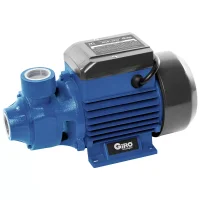 Motobomba Periferica 1HP 3000L/H Bivolt Anauger AGP 750