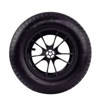 Pneu com Camara e Roda Plastica Para Carinho de MAO 3.25/8" Tramontina 77741/014