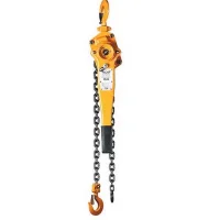 Talha de Alavanca DE Corrente 1TX1,5M Csm TCA1000