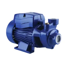 Motobomba Periferica 1HP 2400L/H 220V 750W Chiaperini CH 10-BP2