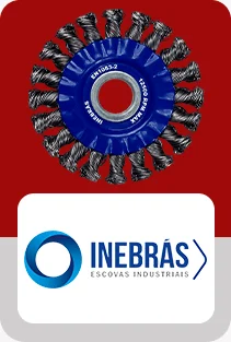 INEBRAS