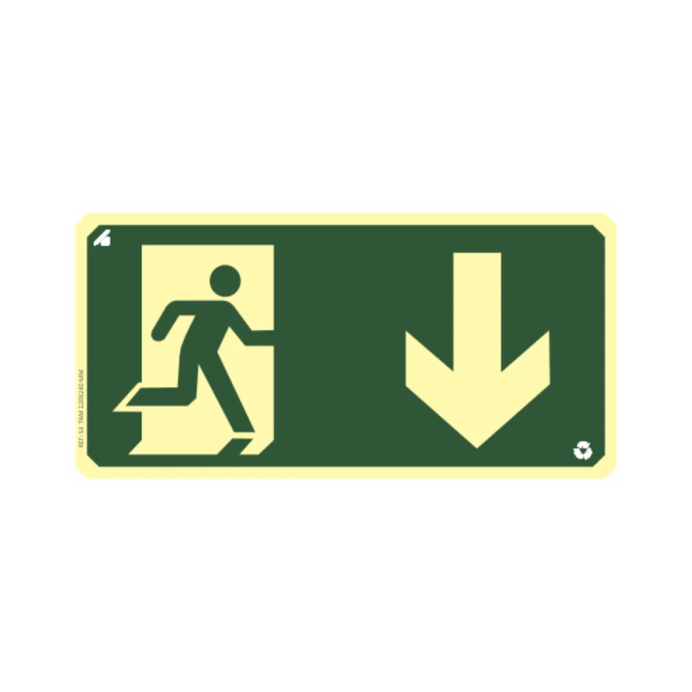 Placa Seta para Baixo Fotoluminescente Pvc 2Mm 24X12Cm S.l