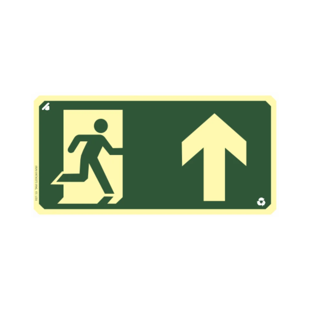 Placa Seta para Cima Fotoluminescente Pvc 2Mm 24X12Cm S03
