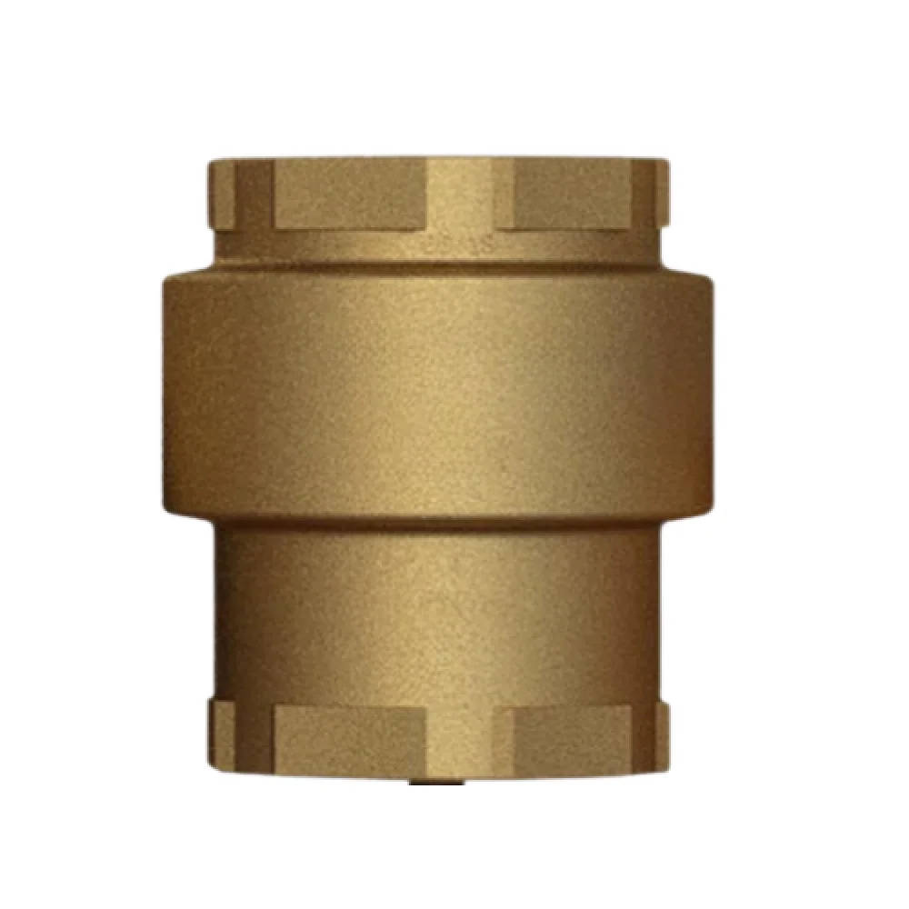 Válvula de Retenção Vertical 2 1/2"