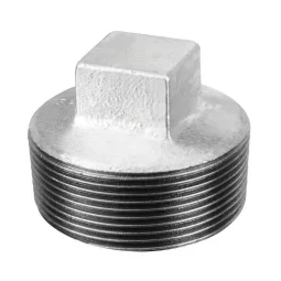 Bujão Galvanizado 1