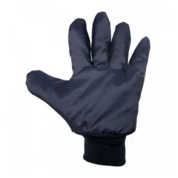 Luva Térmica de Nylon Azul Ca 10978 - Maicol
