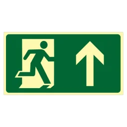 Placa Fotoluminescente Rota de Fuga Seta para Cima Pvc S03 2Mm 24X12Cm S03