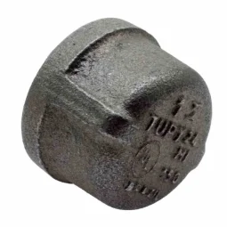 Tampão Média Pressão 2" Npt