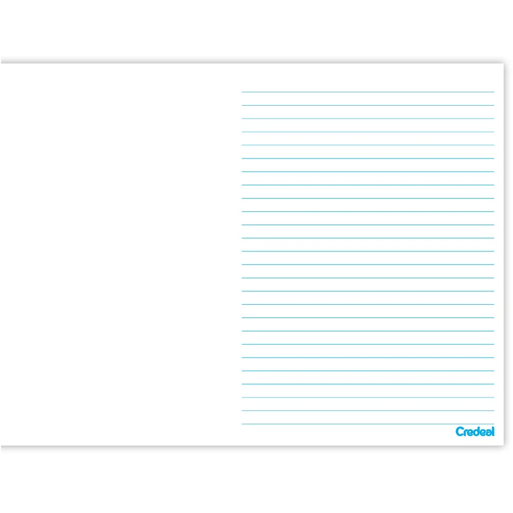 CADERNO MEIA PAUTA ESPIRAL CAPA DURA 80 FLS FEMININO CREDEAL