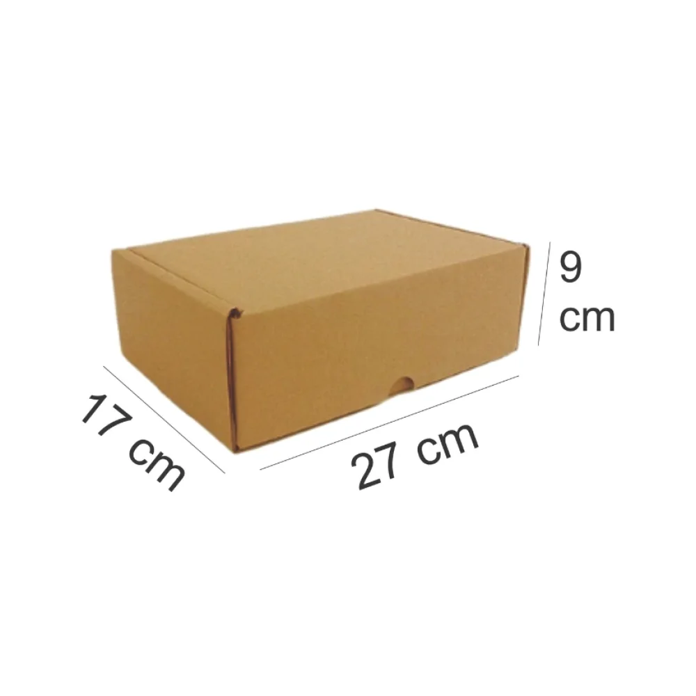 CAIXA PAPELÃO Nº02 ENCOMENDA 27 X 17 X 9 CM 1080 KP