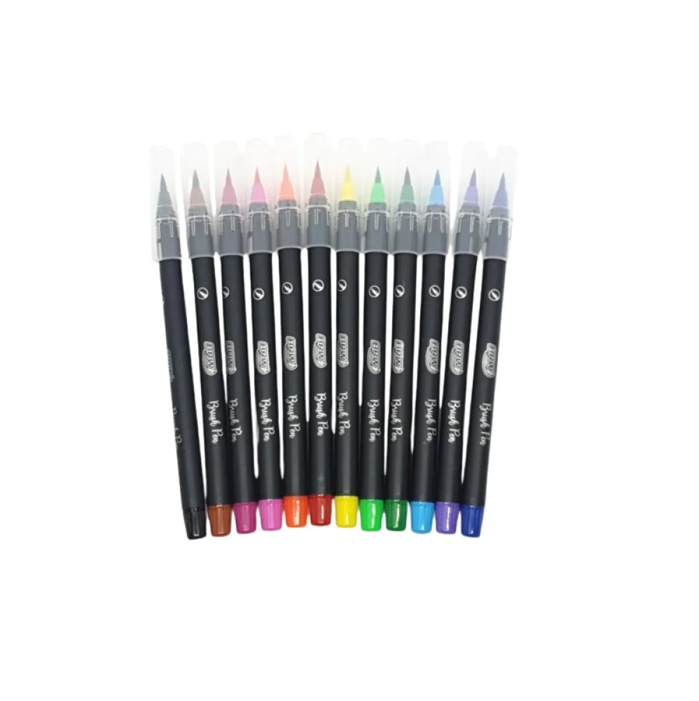 CANETA HIDROCOR C/ 12 CORES BRUSH PEN BP0001 BRW