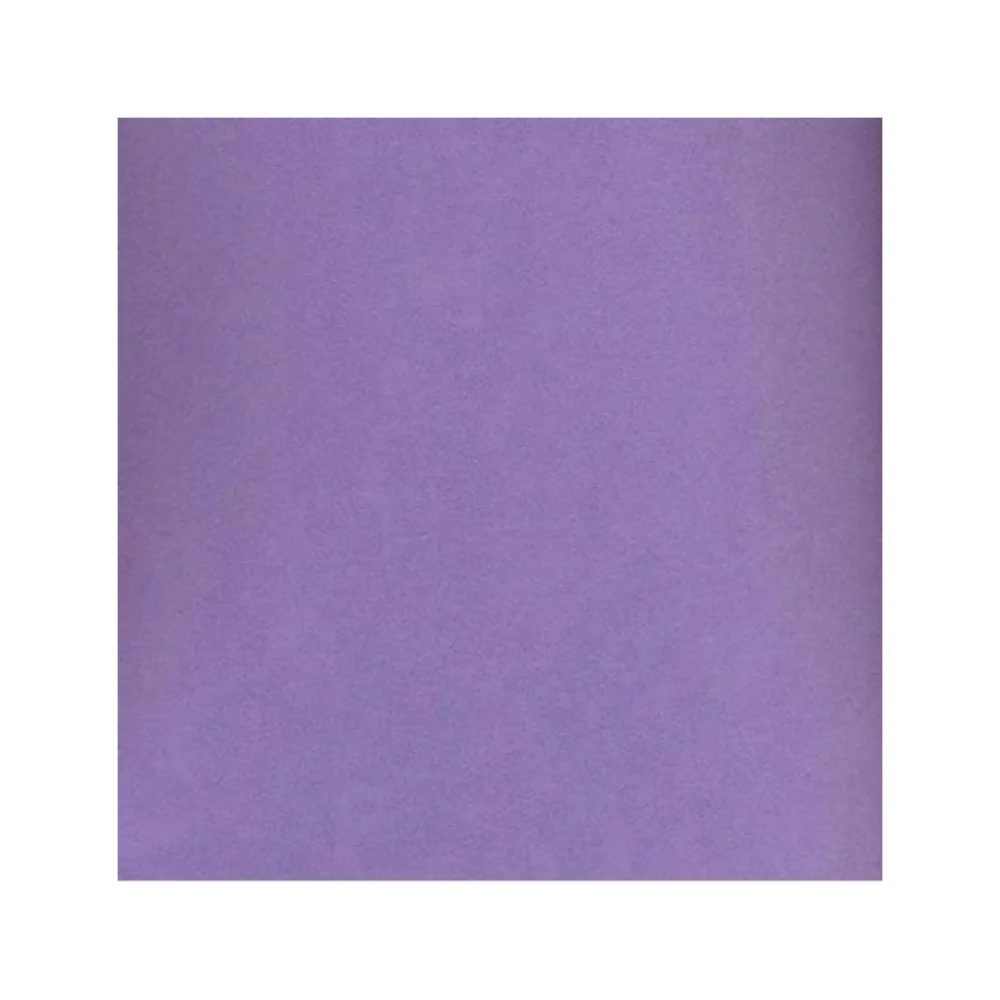 EVA ESCOLAR 40 X 60 CM LISO LILÁS/ROXO