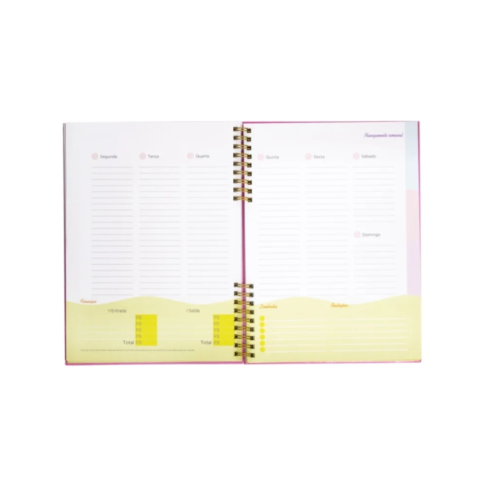 PLANNER CAPA DURA 177 X 240 MM + FINANCEIRO 97 FLS NB2020 BRW