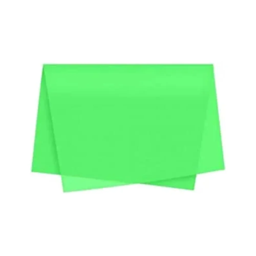 SEDA ESCOLAR 48 X 60 CM VERDE CLARO