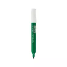 CANETA PILOT COLOR 850 VERDE