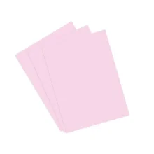 CARTOLINA ESCOLAR 50 X 66 CM ROSA